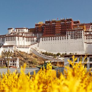 Home a014 beijing–xi’an lhasa shanghai (11 días /10 noches )