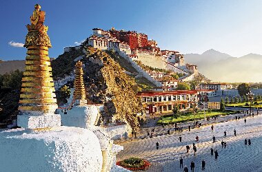 lhasa