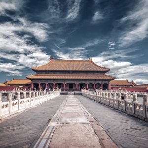 Home ficus decora burgundy