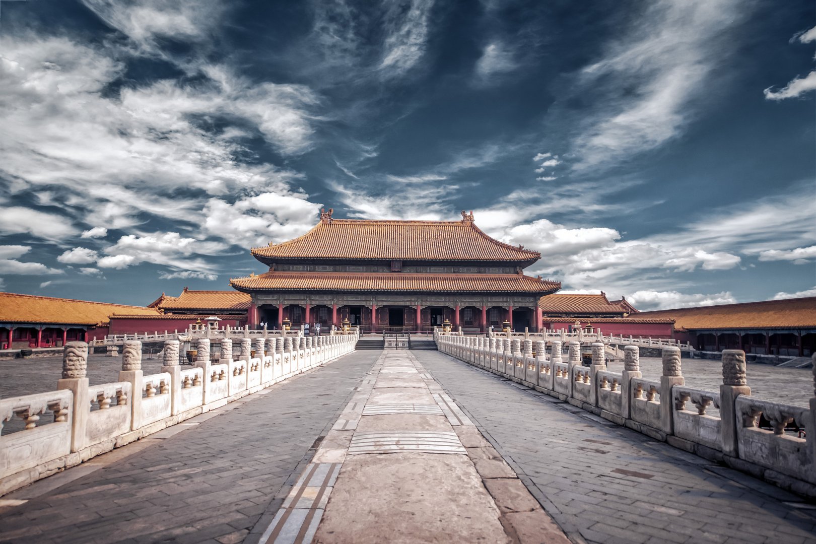 ficus decora burgundy ficus decora burgundy