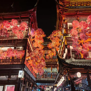 c015 tour a china clÁsica express