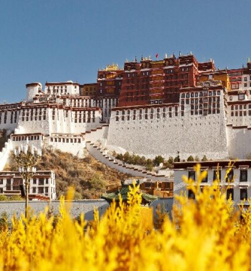 1700789745151194423 1 ainote new