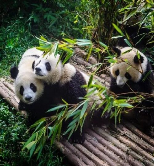 微信图片 20250515184355